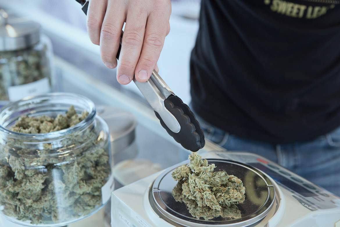 Cannabis FAQ
